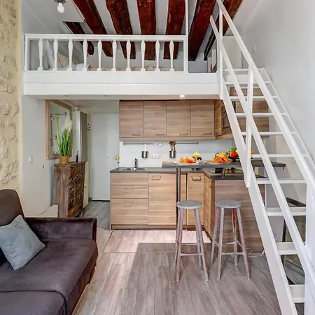 Apartment Near Place Des Vosges